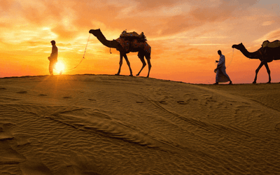 A Guide To Rajasthan To Plan Best Trips