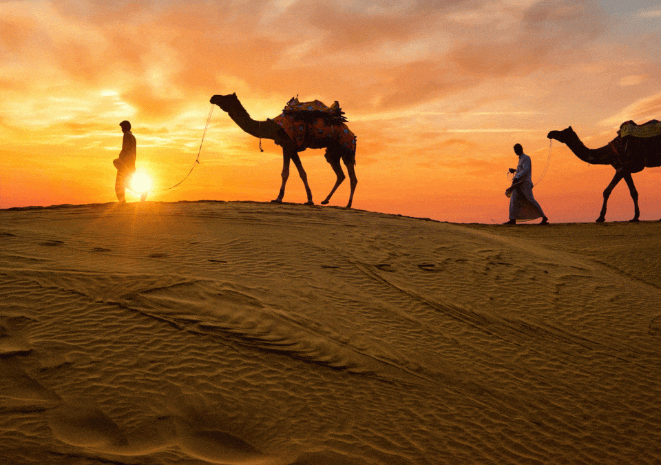A Guide To Rajasthan To Plan Best Trips